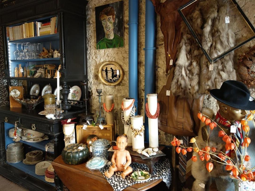 Maison D'Hotes "Les Volets Verts" Et Sa Brocante Ecueille Zewnętrze zdjęcie