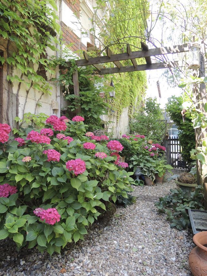 Maison D'Hotes "Les Volets Verts" Et Sa Brocante Ecueille Zewnętrze zdjęcie
